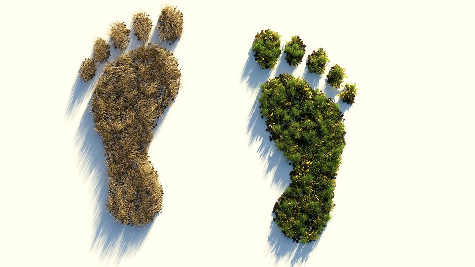 ecologische voetafdruk berekenen